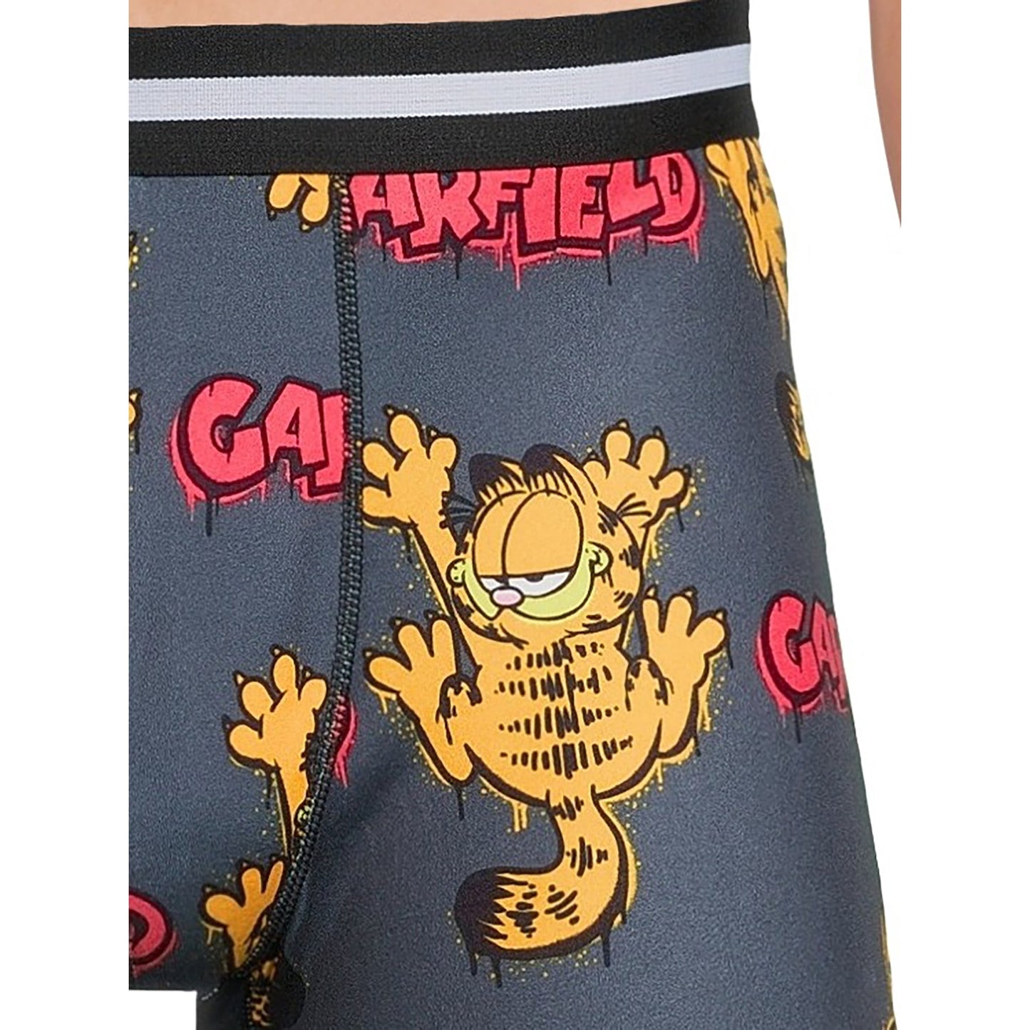 Garfield Men's Boxer Briefs, 2-Pack, Size XL