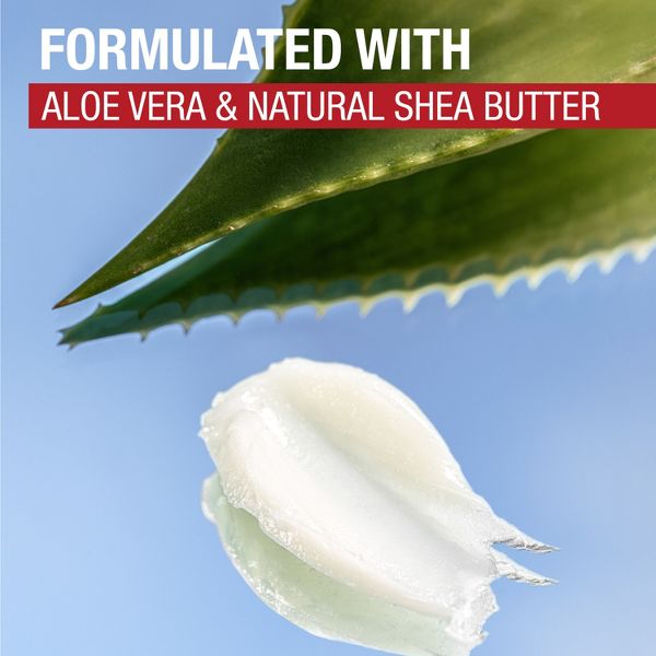 Aquaphor Lip Naturals-Aloe Blister Dual Pack - 0.34oz