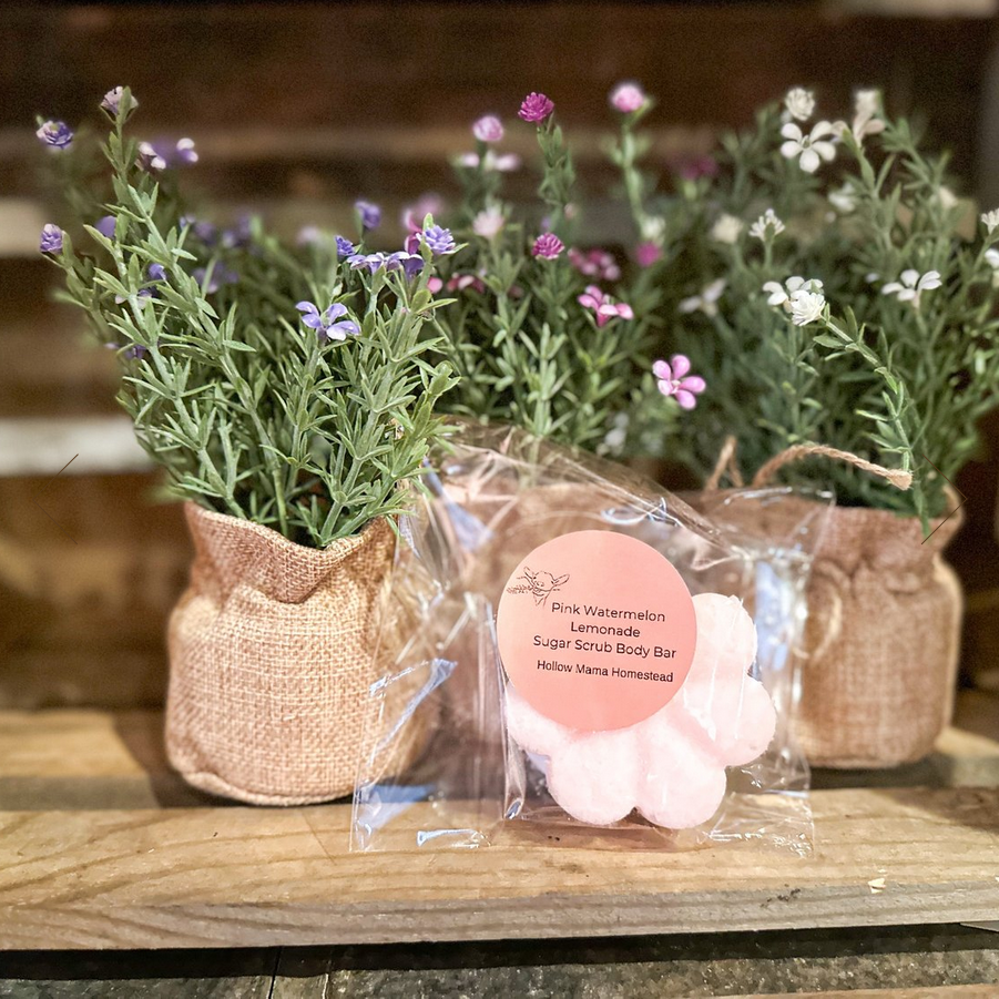 Pink Watermelon Lemonade Sugar Body Bar