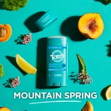 Tom’s of Maine Natural Deodorant, Mountain Spring, No Aluminum, Odor & Wetness Protection, 3.25 oz