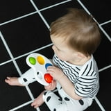 Baby Einstein Color Pop Palette Sensory Toy for Ages 6 Months and Up