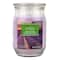 Lavender Fields Scented Jar Candle by Ashland®