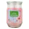 Wild Cherry Blossom Scented Jar Candle by Ashland®