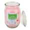 Wild Cherry Blossom Scented Jar Candle by Ashland®