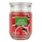 Watermelon Splash Scented Jar Candle by Ashland®