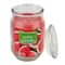 Watermelon Splash Scented Jar Candle by Ashland®