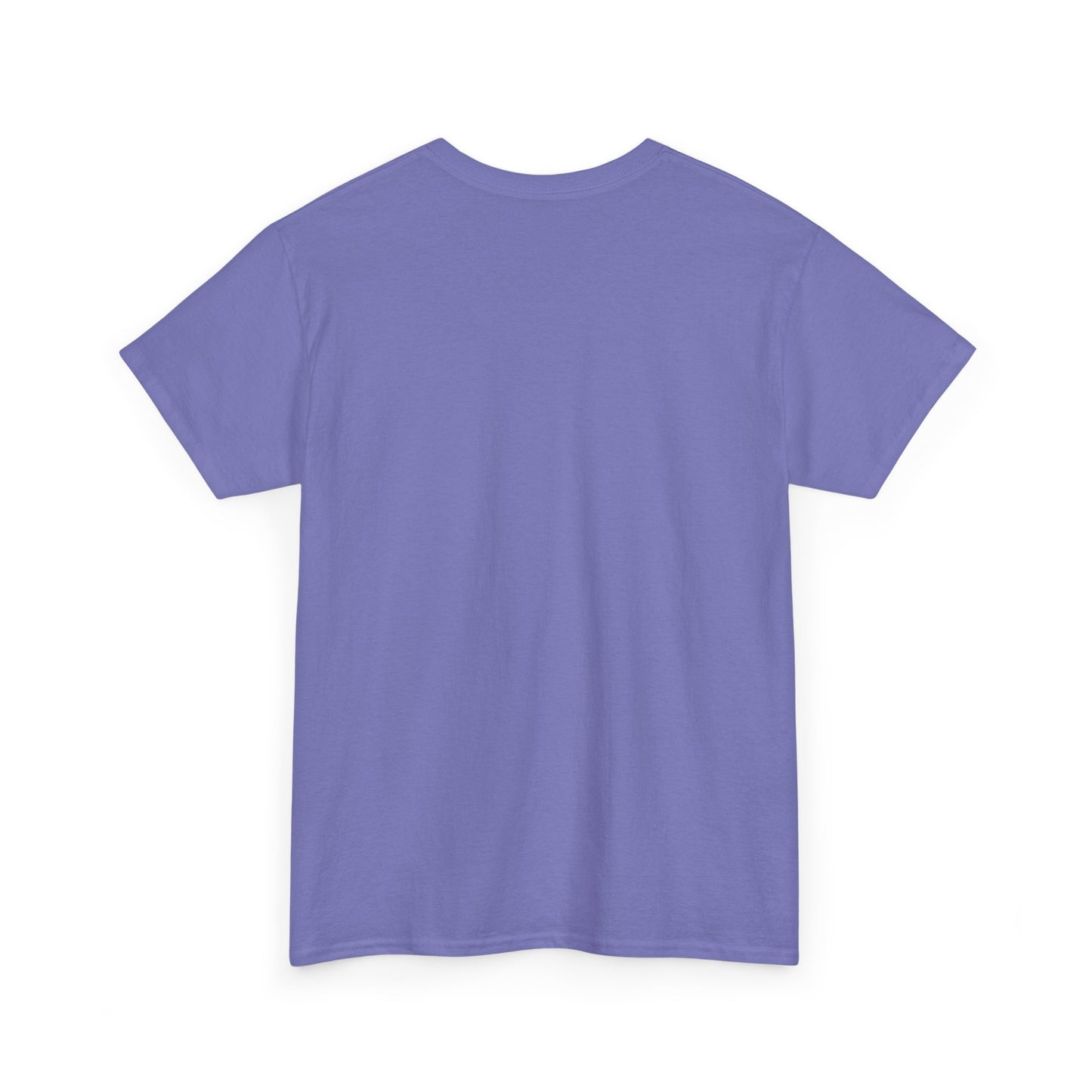 Back to School Vibe Tee, Unisex Tee, Cute School Shirt, Academic Apparel, Gift for Students