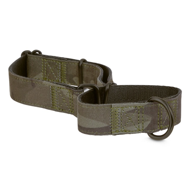 EveryYay Martingale Camo Dog Collar, Medium