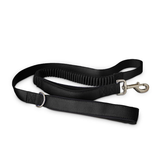 YOULY Black Shock Absorbing Dog Leash, 4 ft.