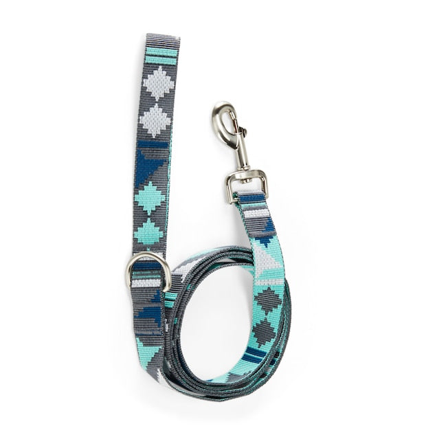 Youly Dog Blue 6-ft Leash