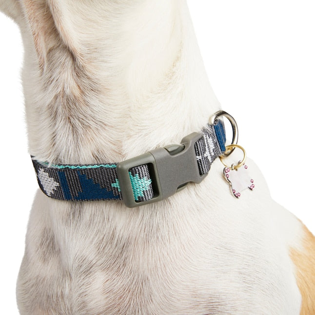 Youly Desert Vibes Collar Multi Dog Collar, Medium