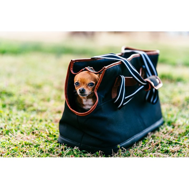 Vibrant Life Pet Tote Bag Carrier for Small Dogs, Black, and Brown (19" x 9" x 12")