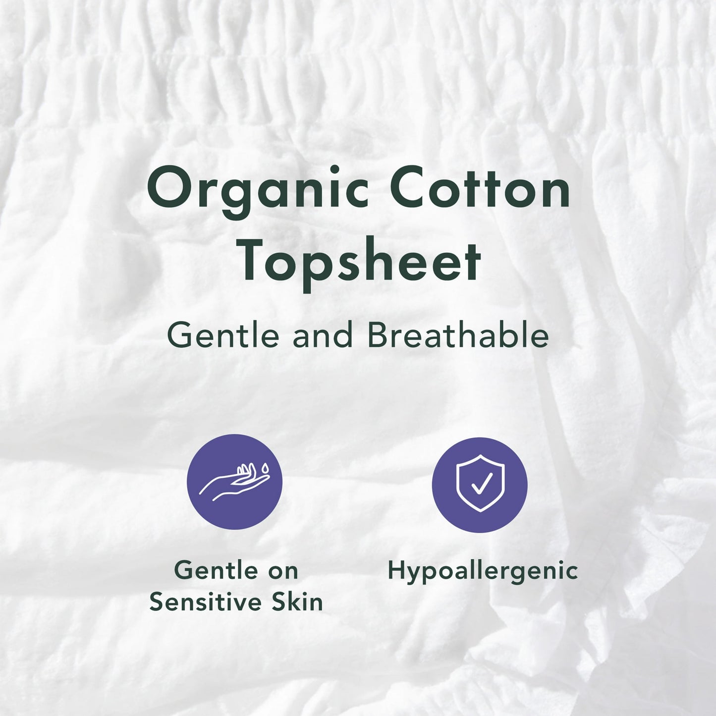 Rael Organic Cotton Disposable Period Underwear, for Heavy Flows, Size L/XL, 5 Count
