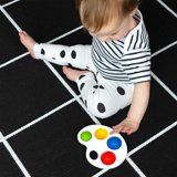 Baby Einstein Color Pop Palette Sensory Toy for Ages 6 Months and Up