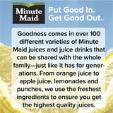 Minute Maid Real Fruit Lemonade, 20 fl oz Bottle