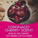 California Scents Palms Paper Coronado Cherry Air