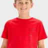 Boys' Short Sleeve Skateboard Dino Graphic T-Shirt - Cat & Jack™ Red XL (14) Husky