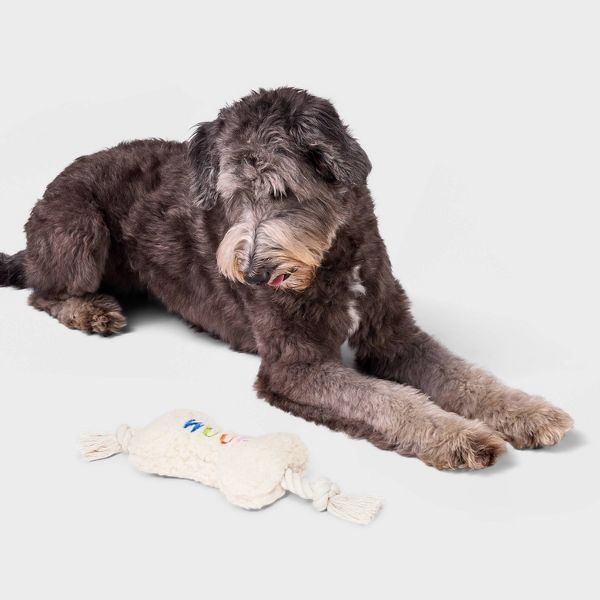 12.5" Bone Plush Rope Dog Toy - Boots & Barkley™