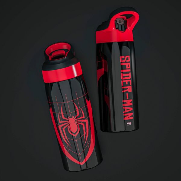 Zak Designs 19 fl oz Stainless Steel Vacuum Insulated Riverside Spider-Man Water Bottle: Kids & Boys Drinkware, Dishwasher-Safe