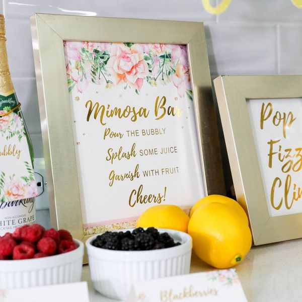 97ct Mimosa Bar Decor Kit