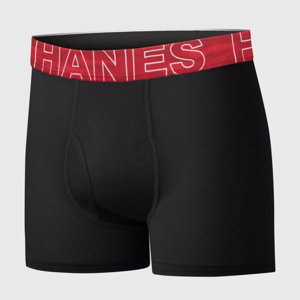 Hanes Boys' 5pk Moves Breathable Mesh X-Temp Boxer Briefs - Black XL (16-18)