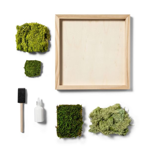 Preserved Moss Art Wood Craft Kit - Mondo Llama™