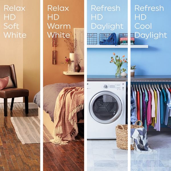 GE 2pk 60W Decorative Light Bulbs Soft White