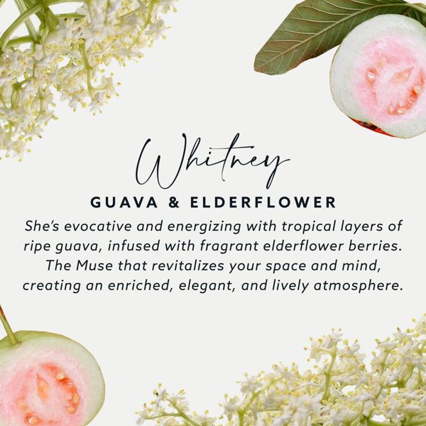 Maison&Muse Kitchen Spray Cleaner - 25.36 fl oz