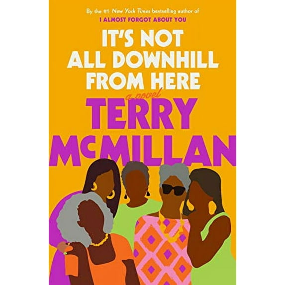 It's Not All Downhill from Here (Hardcover) by Terry McMillan