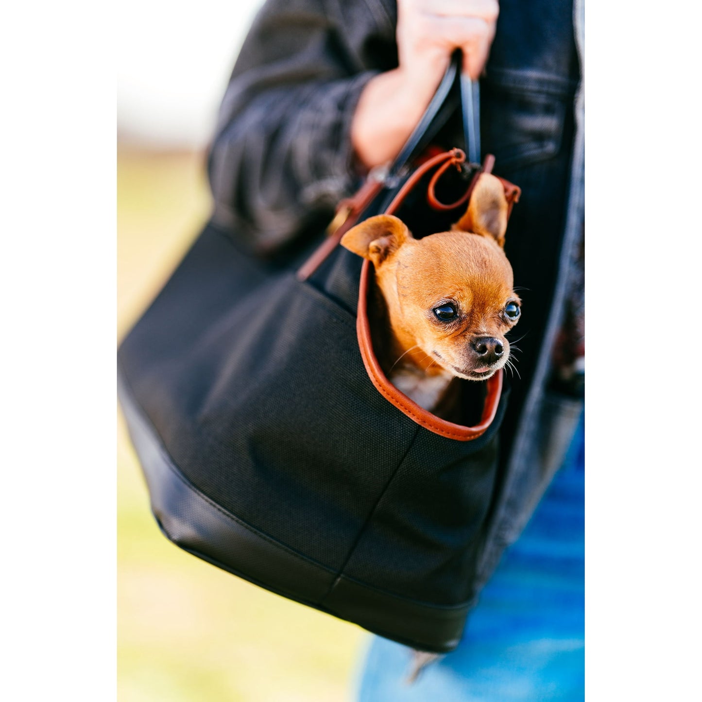 Vibrant Life Pet Tote Bag Carrier for Small Dogs, Black, and Brown (19" x 9" x 12")