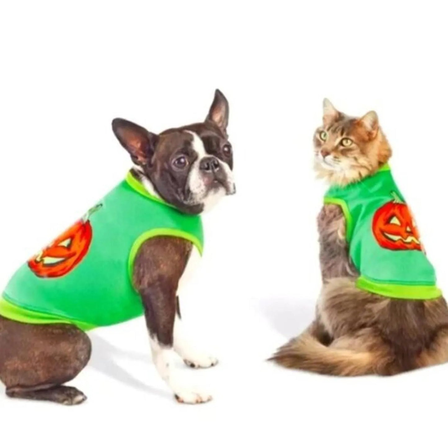 Halloween Retro Pumpkin Dog and Cat Sweatshirt - Hyde and EEK! Boutique™ - XL