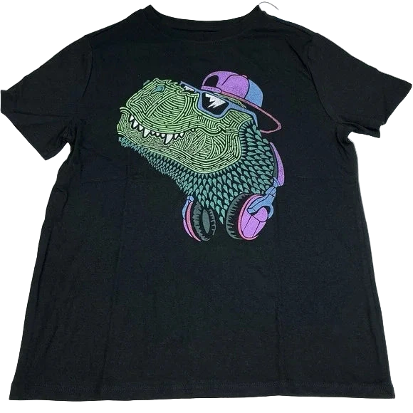 Boys' Short Sleeve Dinosaur Graphic T-Shirt - Cat & Jack™ Black M (8)