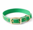 The Cuddle Collab Best Friends Dog Pet Collar - Green - Size S